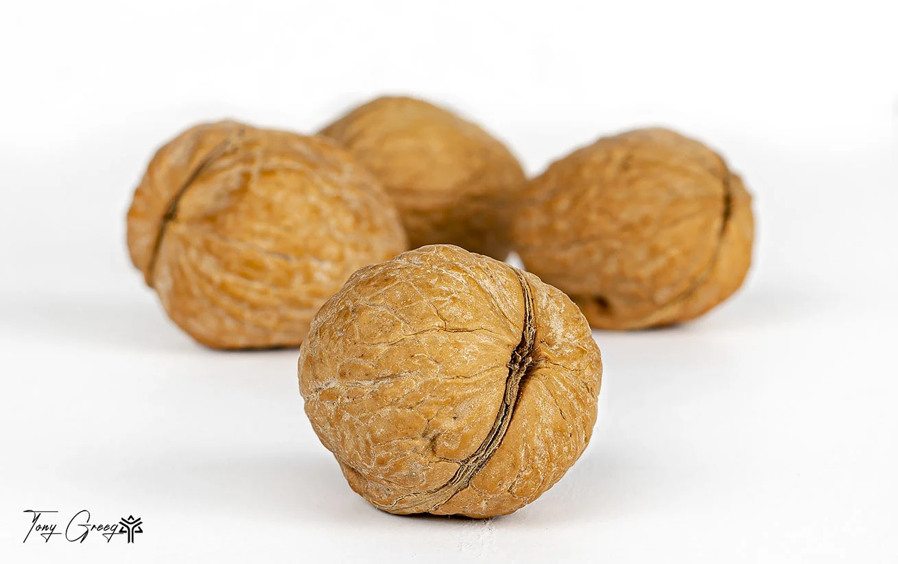 Walnut Study — commercial photography by Tony Greeg