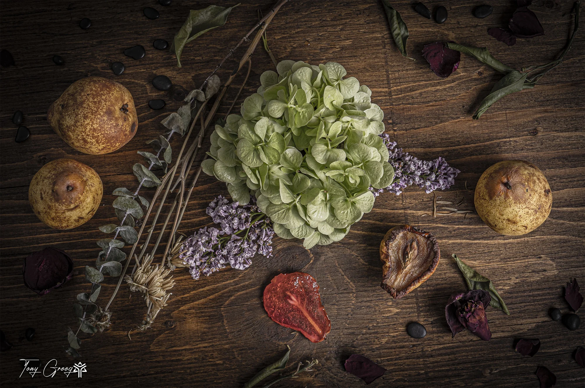 Botanical Still Life — commercial photography by Tony Greeg