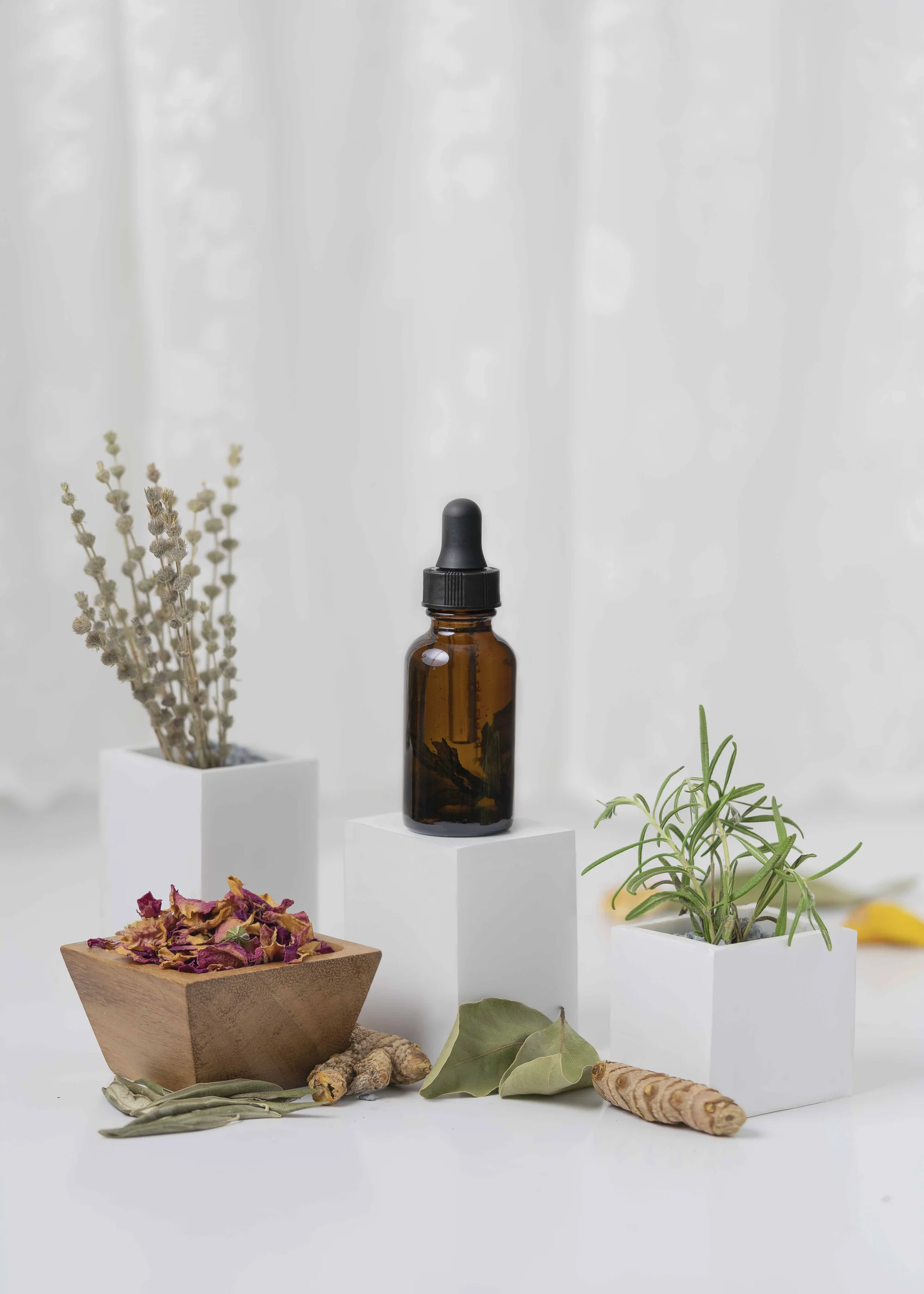 Botanical Product Story — commercial photography by Tony Greeg